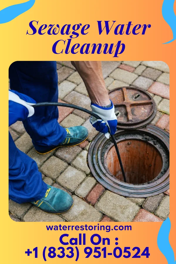 Sewage Water Cleanup in Terlton, OK